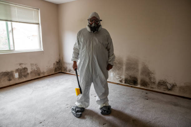 Best Office Mold Removal Services  in Fords, NJ