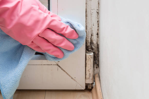 Best Mold Testing and Removal  in Fords, NJ
